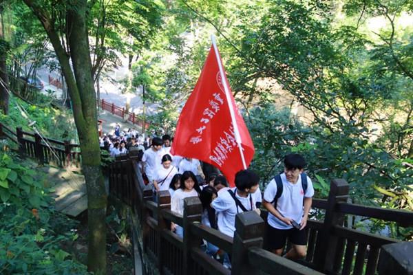 动物帮帮忙保卫家园